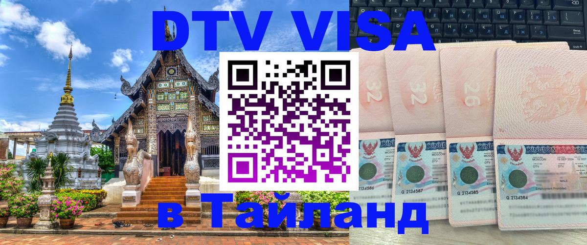 Сколько стоит DTV виза — актуальные цены, оформление даже без документов - 19.11.2025 